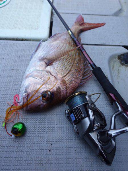 まるいち丸 ZERO-1 釣果