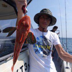 まるいち丸 ZERO-1 釣果