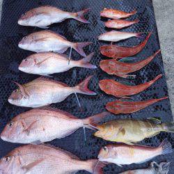 まるいち丸 ZERO-1 釣果