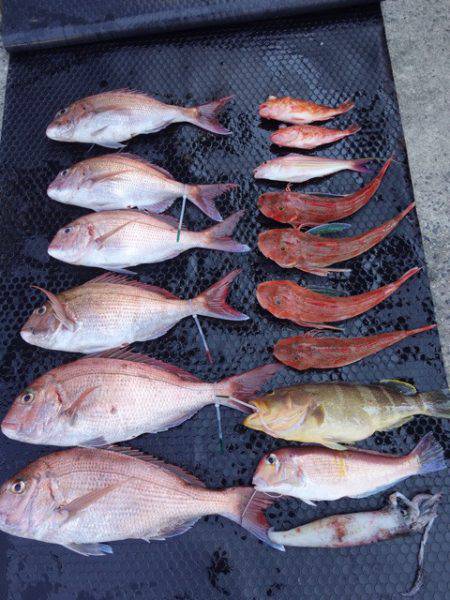 まるいち丸 ZERO-1 釣果