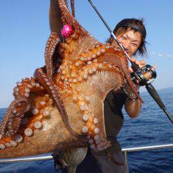 まるいち丸 ZERO-1 釣果