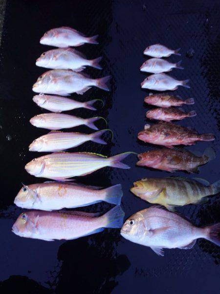 まるいち丸 ZERO-1 釣果