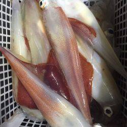 第二龍勢丸 釣果