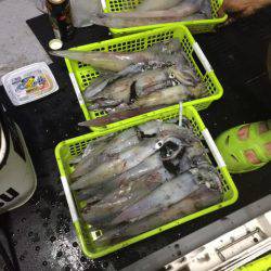 第二龍勢丸 釣果