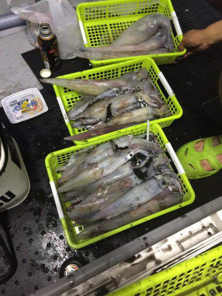 第二龍勢丸 釣果