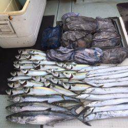 エムズジャーク（M’s JERK） 釣果