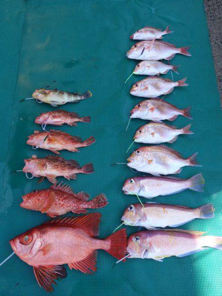 まるいち丸 ZERO-1 釣果