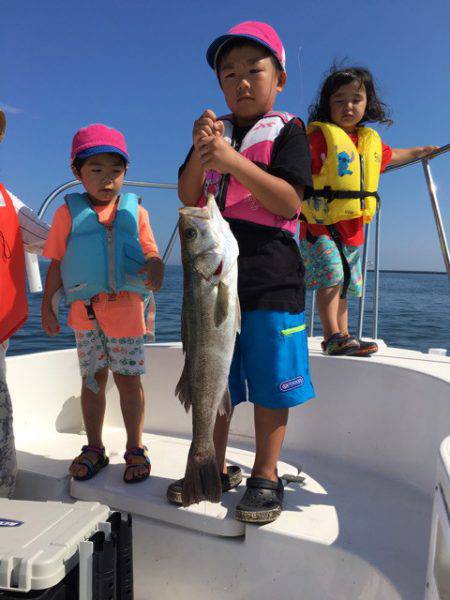 うさぎ丸 釣果