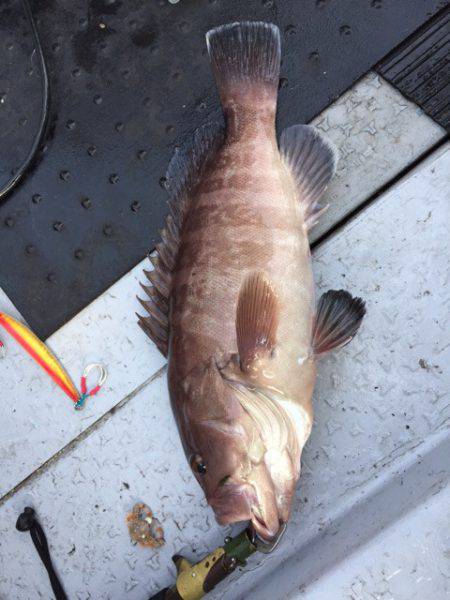 第二龍勢丸 釣果