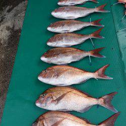 まるいち丸 ZERO-1 釣果