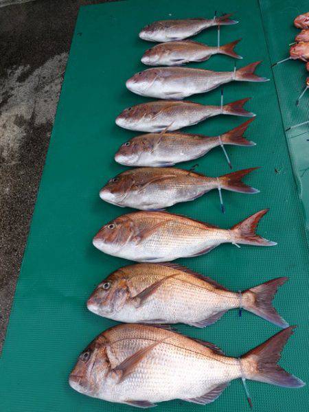 まるいち丸 ZERO-1 釣果