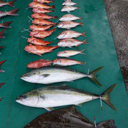 まるいち丸 ZERO-1 釣果