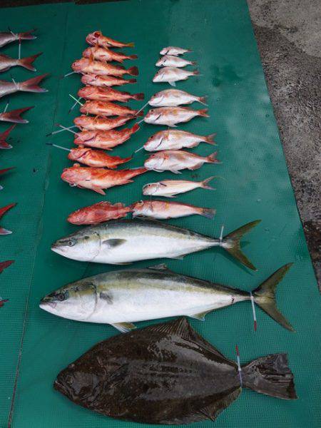 まるいち丸 ZERO-1 釣果