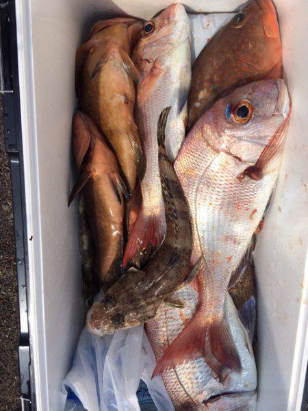 豊和丸 釣果