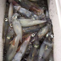 第二八坂丸 釣果