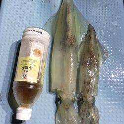 第二八坂丸 釣果