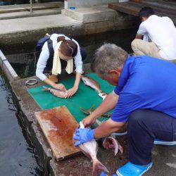 まるいち丸 ZERO-1 釣果