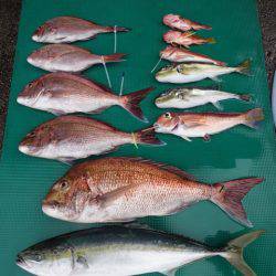 まるいち丸 ZERO-1 釣果