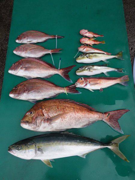 まるいち丸 ZERO-1 釣果