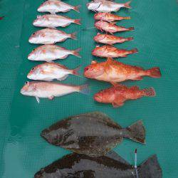 まるいち丸 ZERO-1 釣果