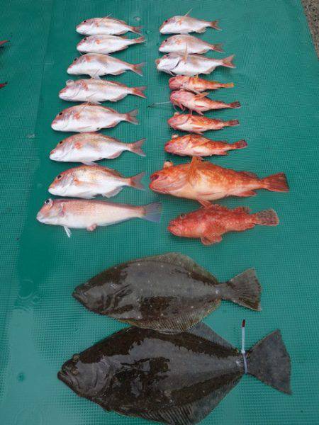 まるいち丸 ZERO-1 釣果