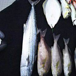 光生丸 釣果