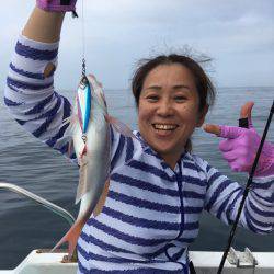 渡船屋たにぐち 釣果
