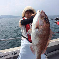 SeaRide(シーライド) 釣果