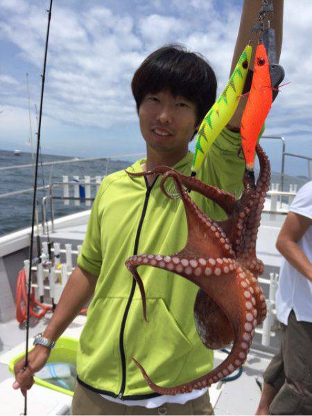 ビッグファイター 釣果