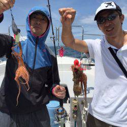 ビッグファイター 釣果