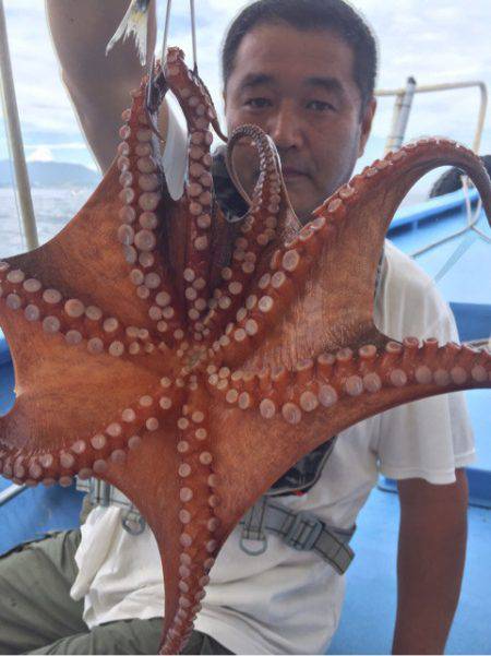 ヤザワ渡船 釣果