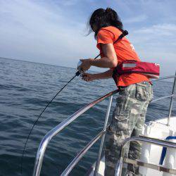 ビッグファイター 釣果