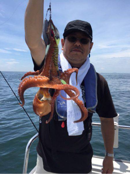 ビッグファイター 釣果