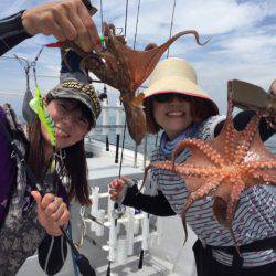 ビッグファイター 釣果