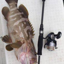 「LaGooN」蒼陽丸 日和号　 釣果