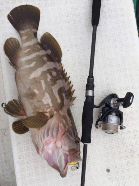 「LaGooN」蒼陽丸 日和号　 釣果