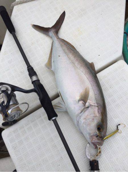 「LaGooN」蒼陽丸 日和号　 釣果