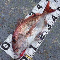 第二 海洋丸 釣果