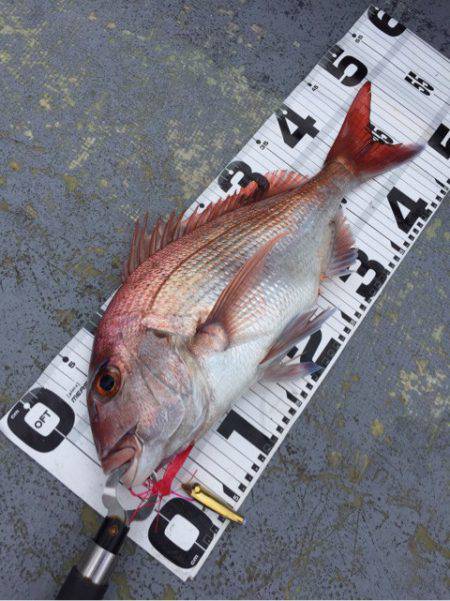 第二 海洋丸 釣果