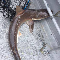 第二 海洋丸 釣果