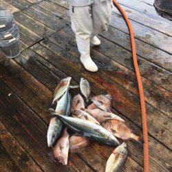 釣り堀水宝 釣果