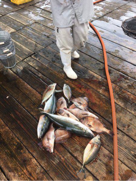 釣り堀水宝 釣果