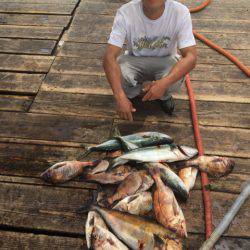 釣り堀水宝 釣果
