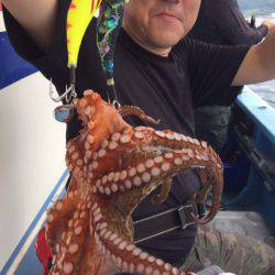 ヤザワ渡船 釣果