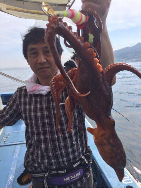 ヤザワ渡船 釣果