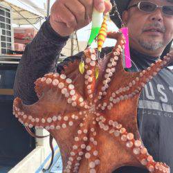 ヤザワ渡船 釣果