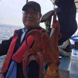 ヤザワ渡船 釣果