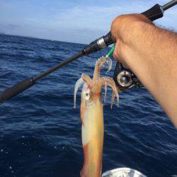 「LaGooN」蒼陽丸 日和号 釣果