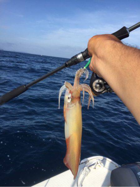「LaGooN」蒼陽丸 日和号 釣果