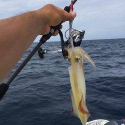 「LaGooN」蒼陽丸 日和号 釣果